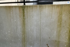 Before: dirty concrete wall covered in algae and buildup